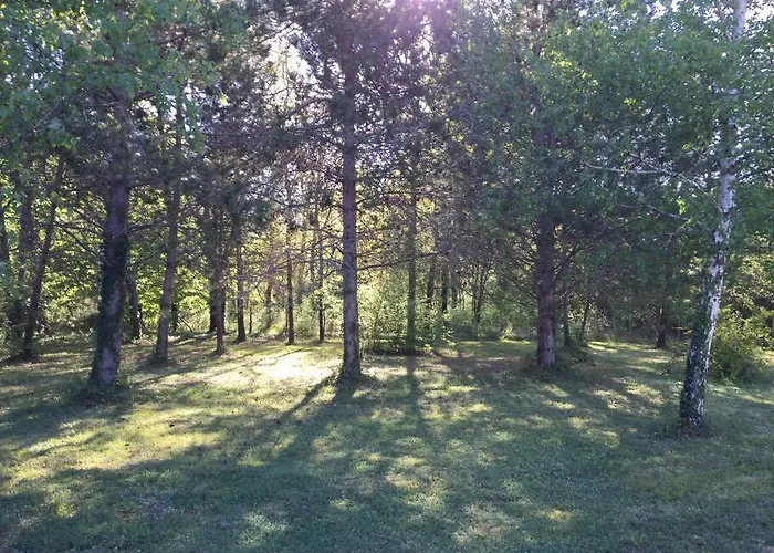 Grande Maison Avec Parc De 6000m2 Feriehus