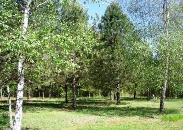 Grande Maison Avec Parc De 6000m2 Feriehus Pompiey